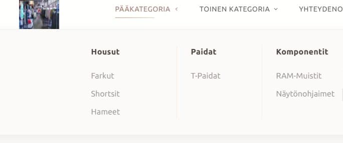 Esimerkki kategorioiden näkymisestä kaupan ylävalikossa